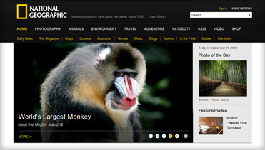 找正规网络手机号呼叫软件免费版